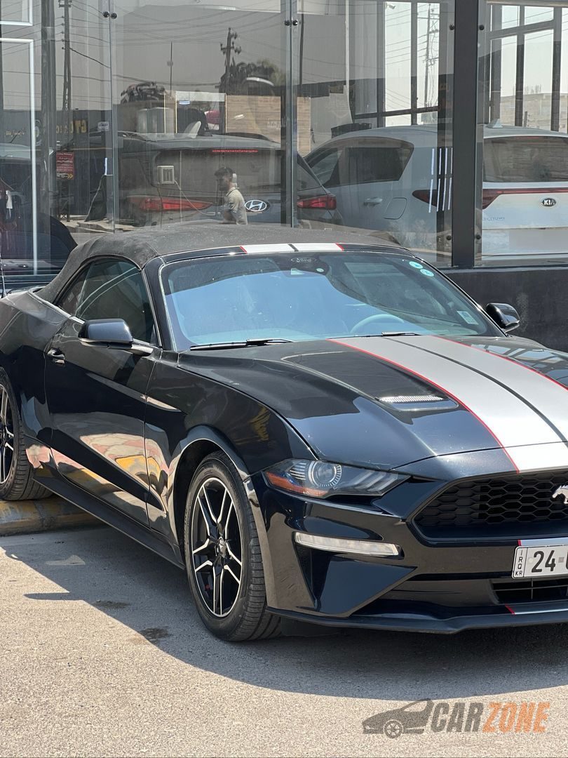 2022 Ford Mustang EcoBoost